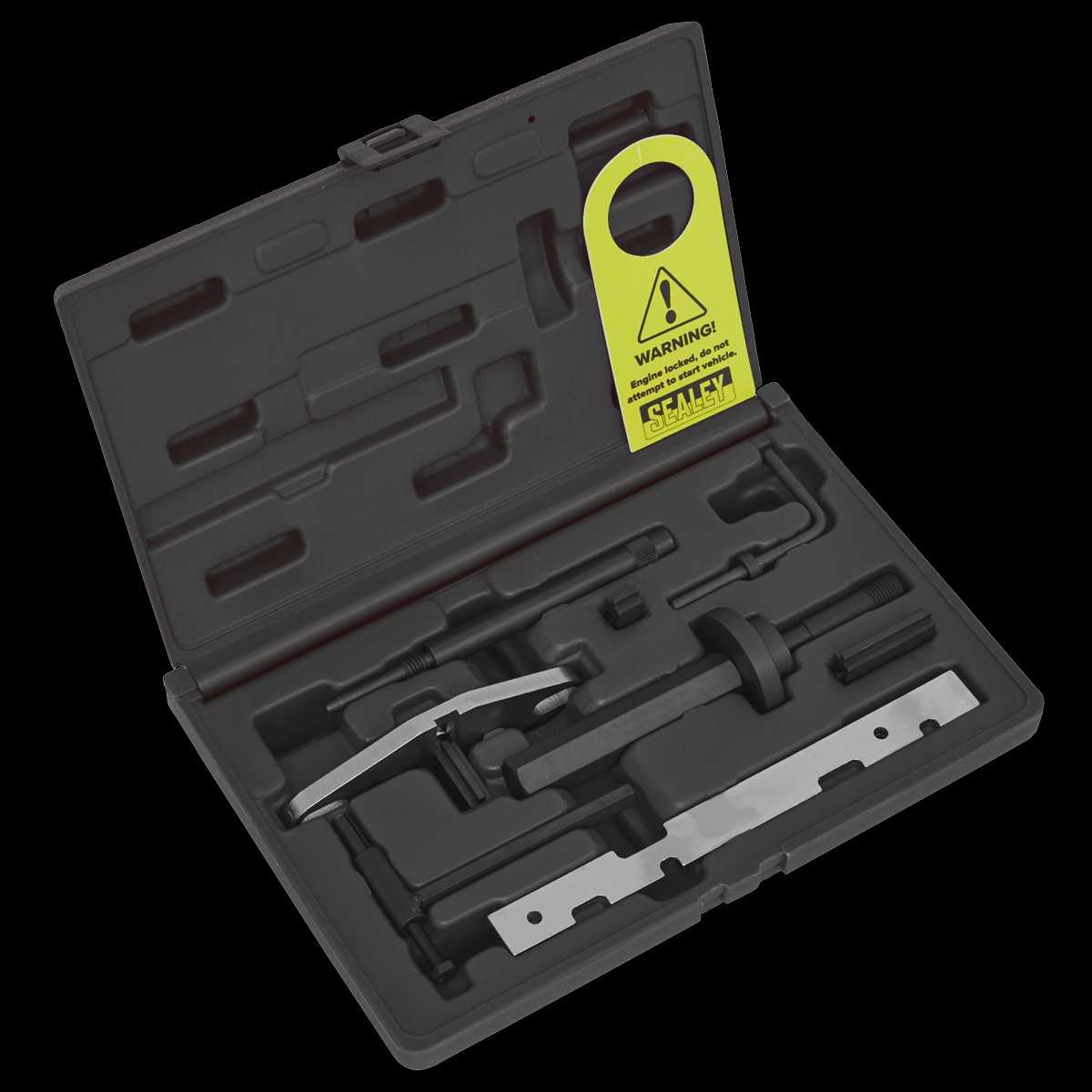 Sealey VSE5843 Diesel Engine Timing Tool /Timing Chain/Pump Remove-Install Kit - for Ford 1.8D - Belt/Chain Drive