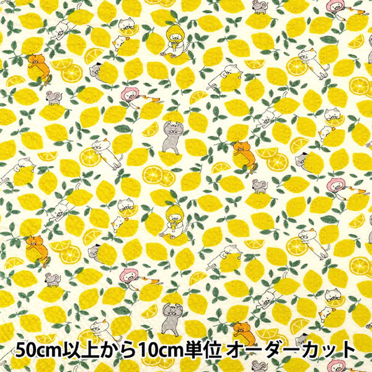 [Quantity from 5] Fabric "Ripple Print Lemon Cat White KTS7182-A COTTON KOBAYASHI