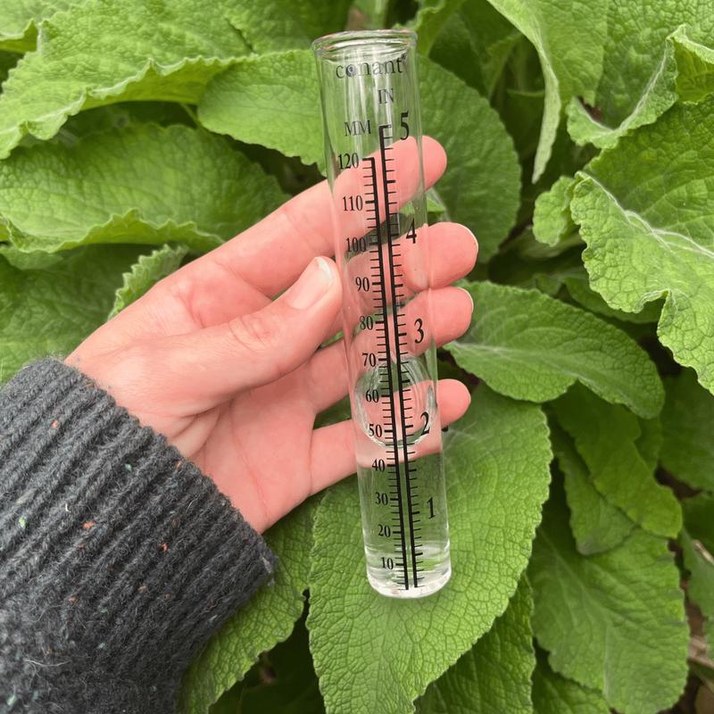 Rain Gauge Bronze