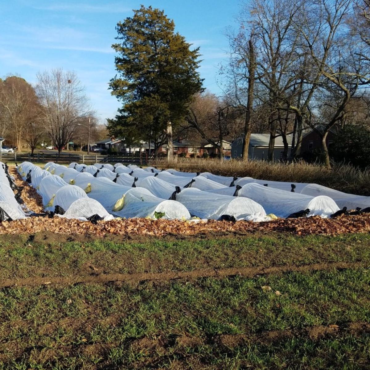Row Cover Hoop Kit*